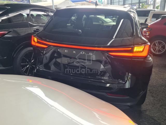 2023 Lexus NX250 Luxury Grade 5 Hud 360 Cam Unreg - 5