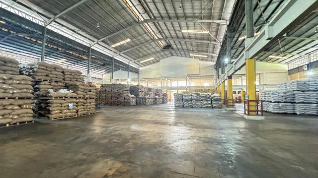 Pasir Gudang Detached Factory - For Sale 1