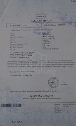 Tanah pertanian di kg bintang untuk dijual. 1