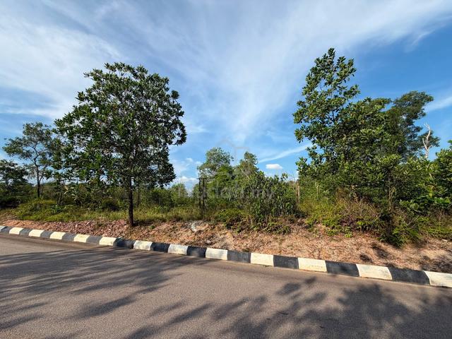 Freehold|Bumi -Tanah Lot Banglo @ Jln Belimbing 11, Masai Pasir Gudang 1
