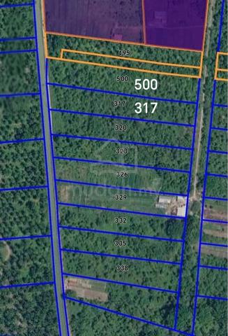 Balik Pulau freehold land 4.74 acre for sale - Jln Kuala Baru 1