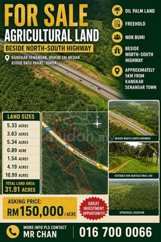 Oil Palm Land @ Kangkar Senangar For Sale 1