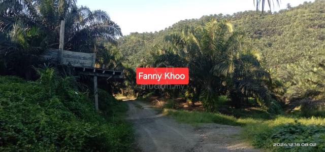 Palm Oil Land for Sale | Kunak | Lahad Datu | Tawau 2