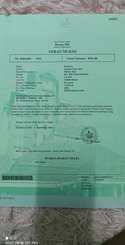 tanah padi untuk dijual 1