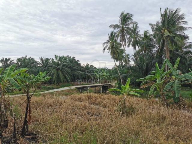 16acres Agriculture Land Next To Malaka Strait Sea Kelicap Batu Pahat 1