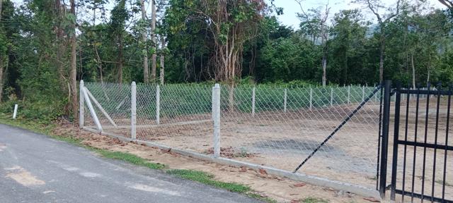 Carousel Image Selected