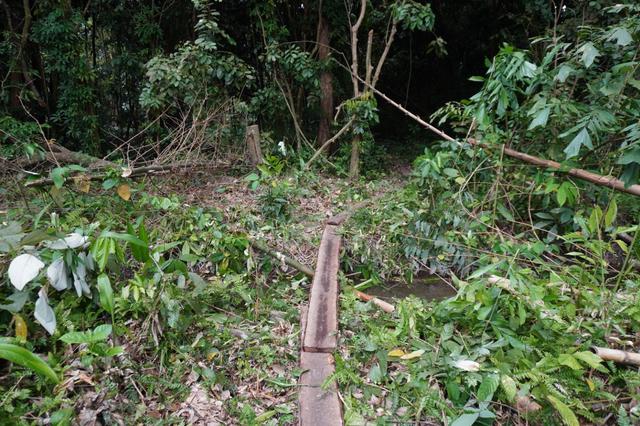Tanah Gelang Patah Untuk Sewa Dengan Segera 1