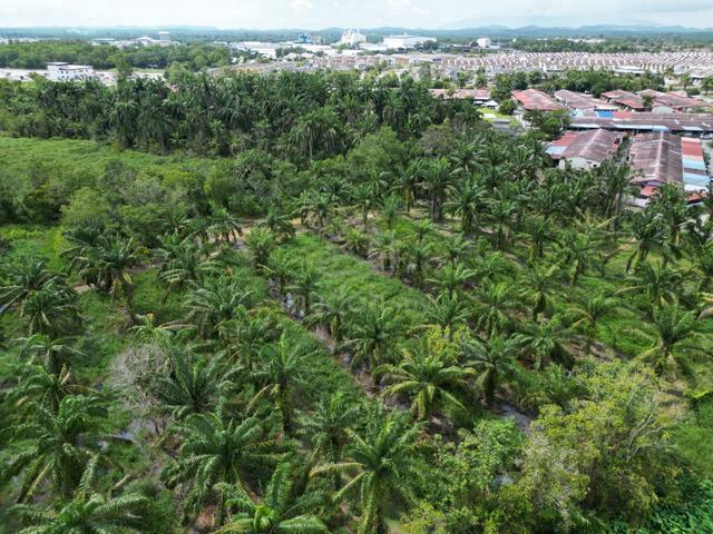Kuala Ketil Agricultural Land Zoning Residential Develoment For Sale 1