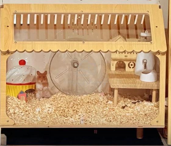 Carousel Image