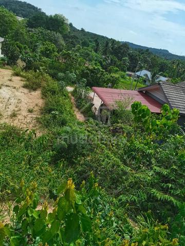 Ayer Paabas (utk dijual) 3