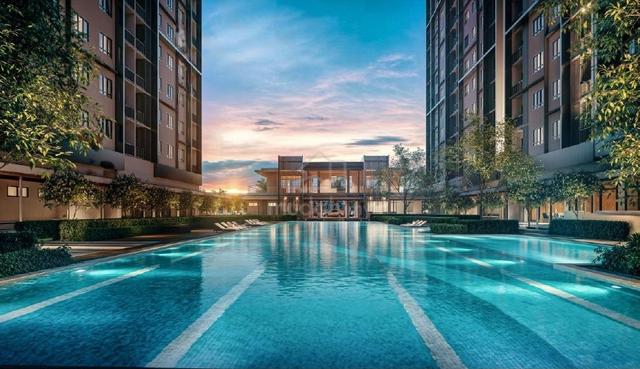 Aster Court 4