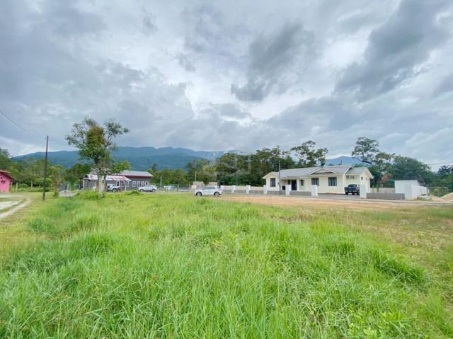 Tanah kampung Pauh yan 11,000sqft 1