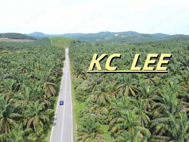 Main Road 101 Acres Agricultural Land For Sale @ Labu Besar,Karangan 1