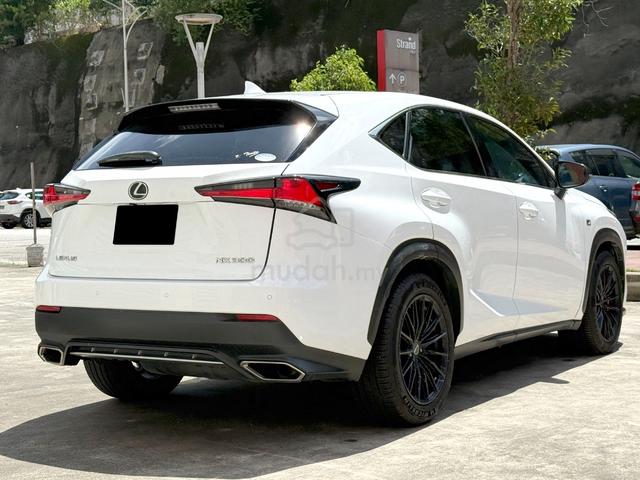 2018 Lexus NX300 2.0 F SPORT (A) - 3