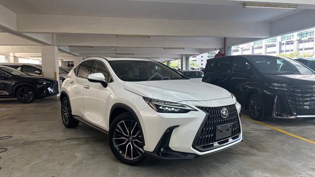 Sunroof Dim 2023 Lexus NX250 VERSION L Grade 4.5B - 1