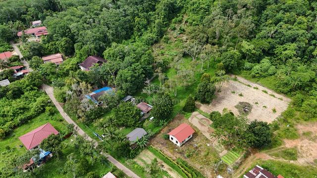 Pokok Sena Durian Land For Sale | Alor Setar 1