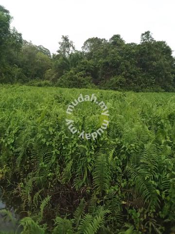 1.34 acres Land at Sungai Tanggah Serian 1