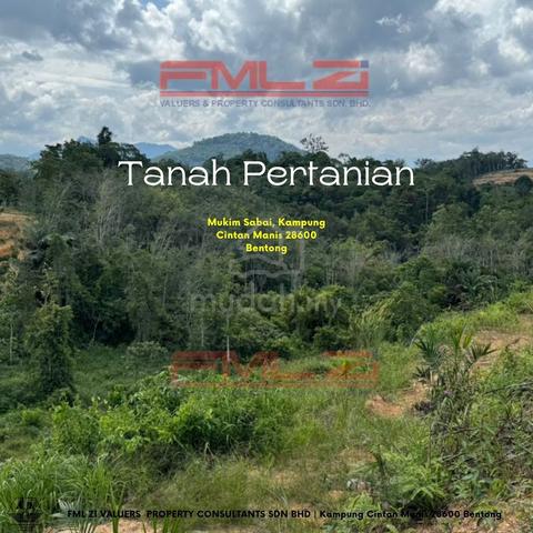 Freehold Agriculture Land For Sale In Kg Chinta Manis, Bentong 1