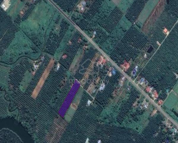 Rompin Endau Palm Tree Agricultural Land 1