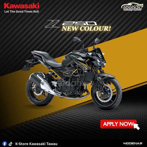 SPECIAL OFFER ⚡Kawasaki » Ninja ZX 250⚡ - Motorcycles for sale