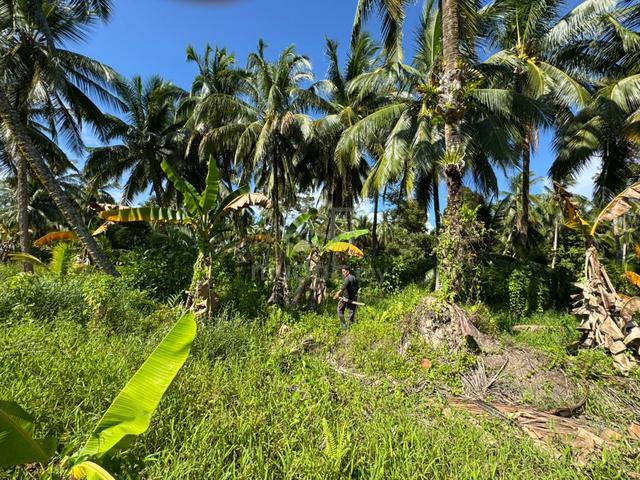 Asajaya agricultural land for sale 4