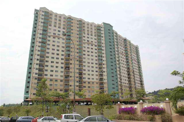 Desaminium Rimba 1
