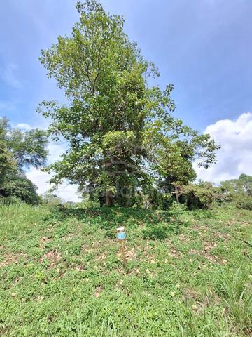Land at Bukit Merah Taiping Perak 1
