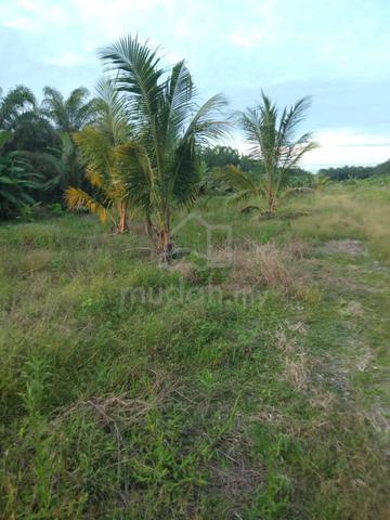 Sitiawan Kg Tebuk 1