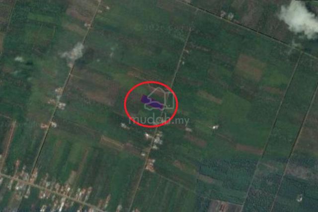 TANAH PERTANIAN 𝗨𝗡𝗧𝗨𝗞 𝗗𝗜𝗝𝗨𝗔𝗟, Jln Ayer Hitam - Parit Sulong 1