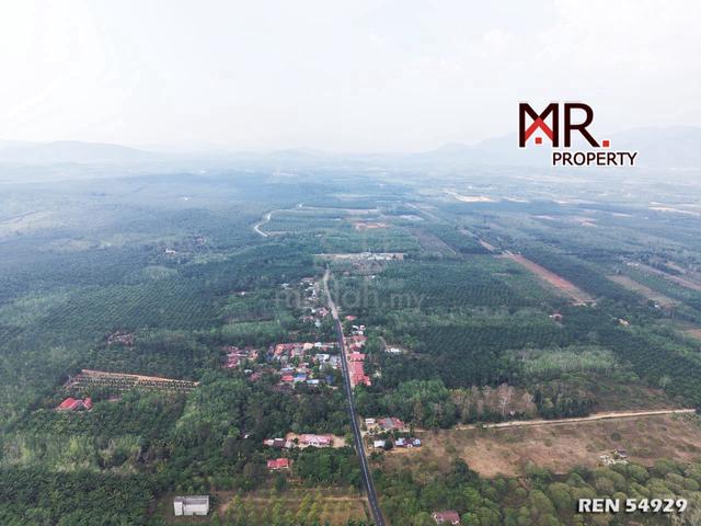PRIME AREA Oil Palm Farm Bukit Selambau FOR SALE 1