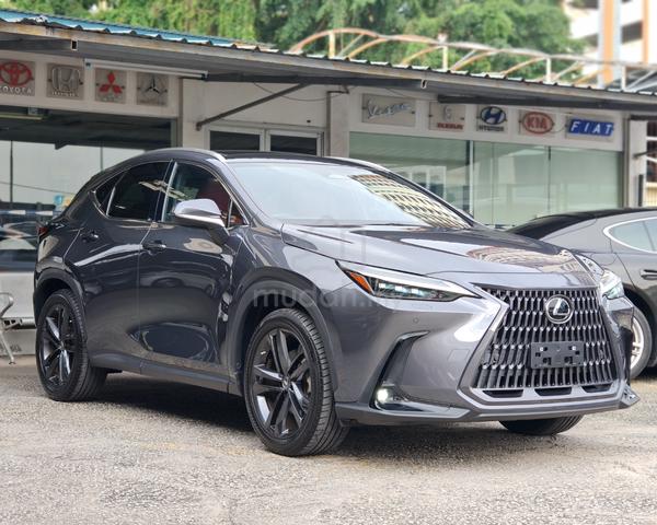 2022 Lexus NX 250 2.5 VERSION-L NX250 5AA 17K KM - 1