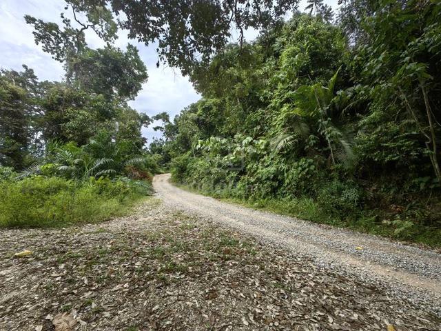 8.5 Acres Freehold Agriculture Land Tanjung Besar Benta Kuala Lipis 1