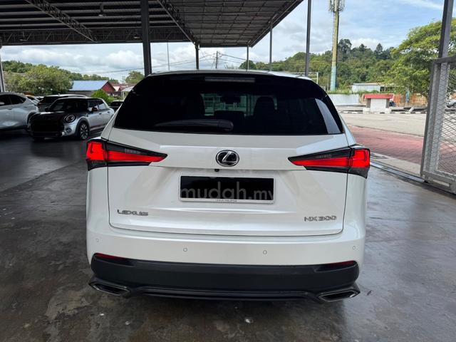 2019 Lexus NX 300 2.0 PREMIUM (A) - 3