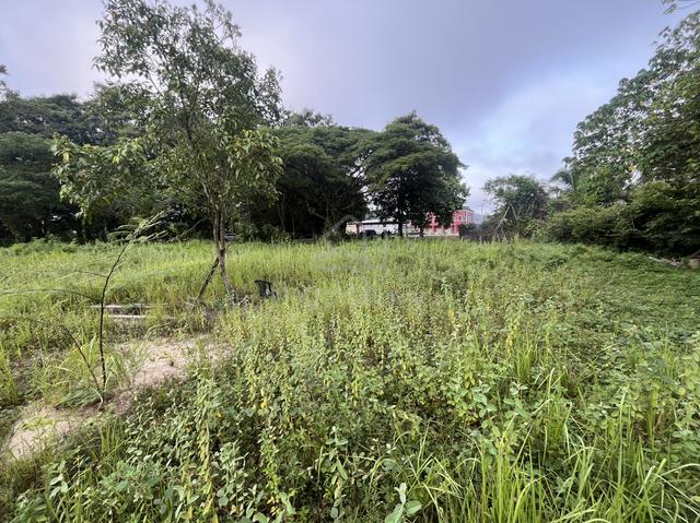 Tanah Untuk Dijual/Disewa 5