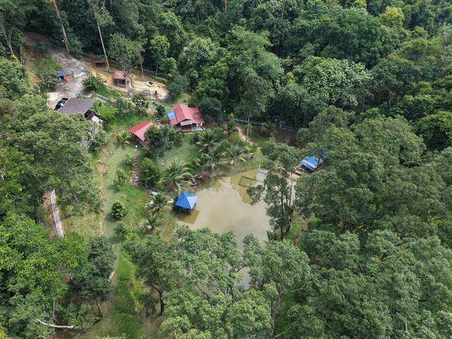 Tanah Dusun Terachi Kuala Pilah ‼️ 1