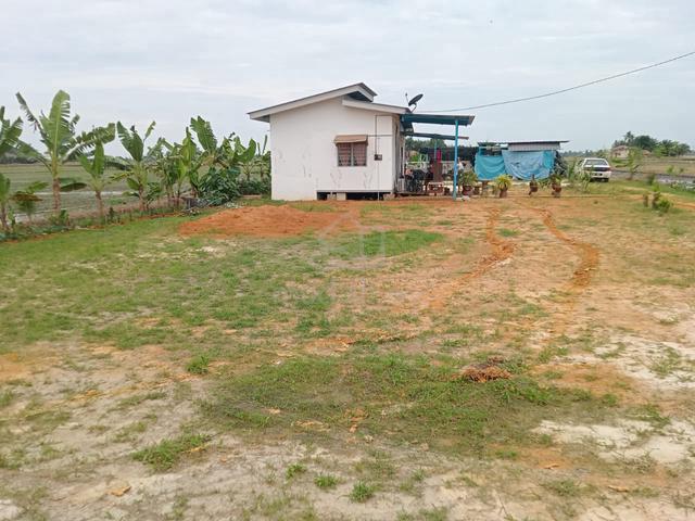 Tanah Pertanian 1.475 Ekar Kampung Simpang Lima Sungai Besar Selangor 1