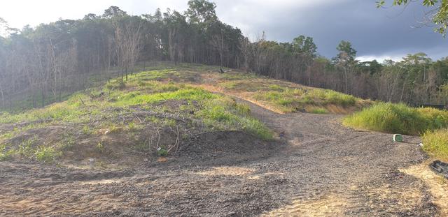 Land for Sale - Agriculture 1