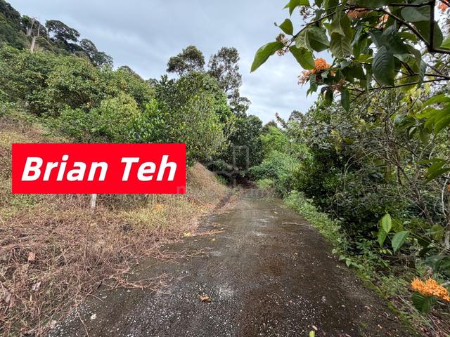 Hill Land Durian Farm Agricultural Land Sale at Teluk Kumbar Road Acce 1