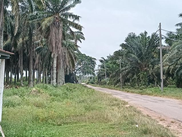 Penang Butterworth Land for Sales 1