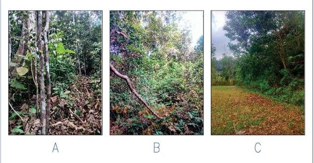 Land for Sale ( Behind Politeknik Sultan Haji Ahmad Shah @ Semambu) 1