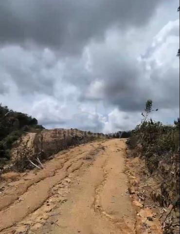 Tanah atas bukit untuk dijual. 4
