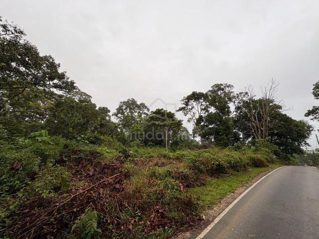 Tanah Dusun Kluang Johor Pokok Berbuah Kawasan Tinggi 1