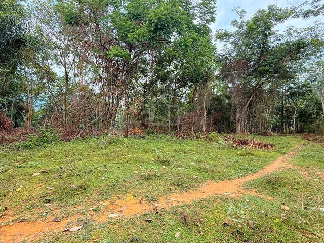 Tanah Kebun Getah Di Mukim Kupang Baling, Kedah 1