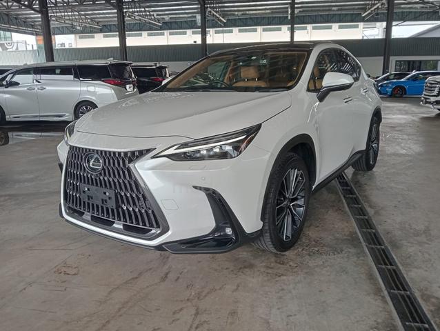 5A 20K KM 2023 Lexus NX 250 2.5 VERSION L P.ROOF - 3