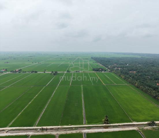 Sabak Bernam,2.96 acre paddy field for sale,near main road. 1