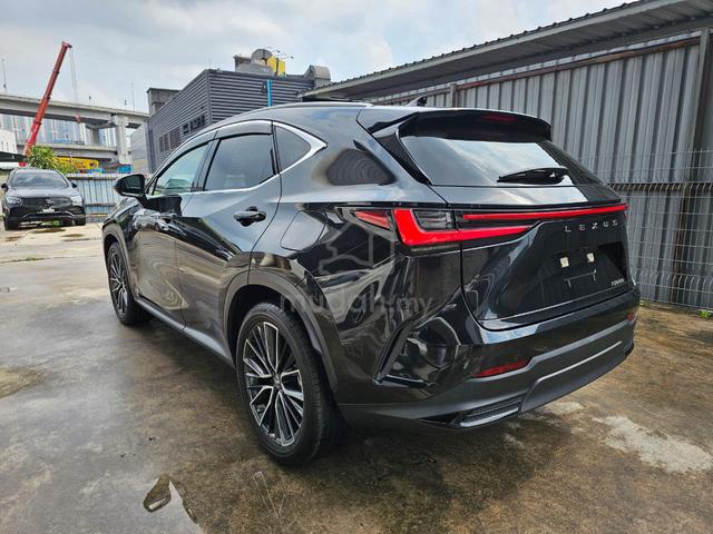 2023 Lexus NX 250 2.5 NFL P/R 4Cam BSM PB Unreg - 2
