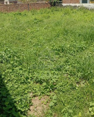 Pasir Puteh / Bungalow Land For Sale / Freehold / 4725 sqft / North 3