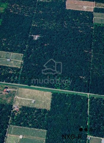 Telok panglima Garang Sijangkang 5acre land for sale 1