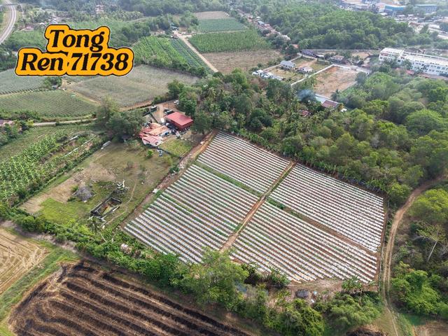 Sg. Lalang Agriculture Land Zoning Residential Land For Sale 1