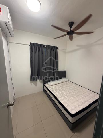 Room for rent The Stone Paya Terubong free internet utility bill 1
